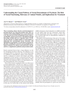 Social Determinants of Psychosis