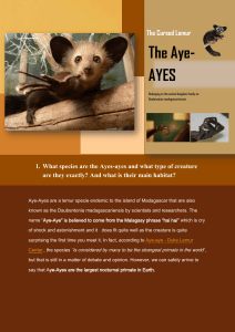The Cursed Lemur: Aye-Aye Biology Guide