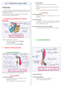 Anatomie de la r&eacute;gion axillaire
