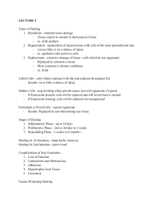 Lecture Notes: Types of Healing and Fever Pathophysiology