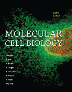 Molecular Cell Biology Textbook PDF