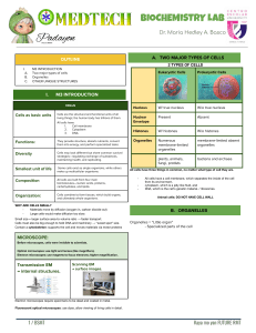 Biochemistry Lab: Cell Structure and Organelles
