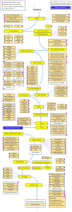 Backend Development Roadmap