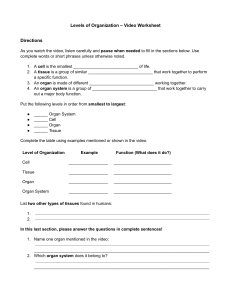 Levels of Organization Video Worksheet