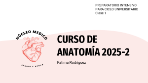 Curso de Anatom&iacute;a del Miembro Superior