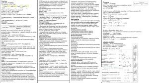 Operations Management & Process Analysis Guide