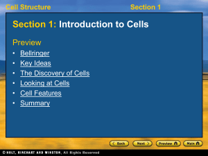 Cell Structure: Introduction to Cells