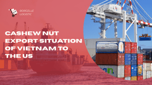 Vietnam Cashew Nut Export to US: Trade Guide