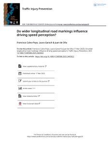 Wider Road Markings Influence on Speed Perception