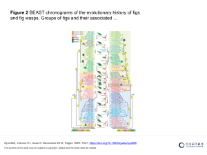 Evolution of Figs & Fig Wasps
