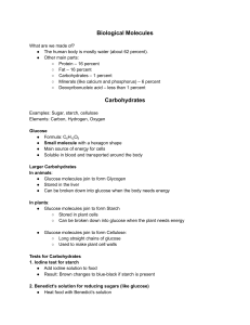 Biological Molecules Study Guide