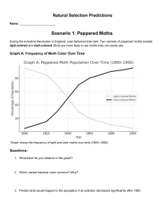 Natural Selection Predictions Worksheet