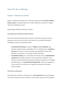 F&aelig;llesskab: En Sociologisk Analyse