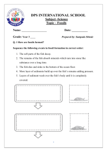 Year 3 Fossils Science Worksheet