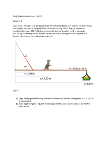 Fysik Opgaves&aelig;t: Kr&aelig;fter, Drejningsmoment og Bev&aelig;gelse