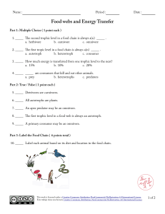 Food Webs and Energy Transfer Worksheet