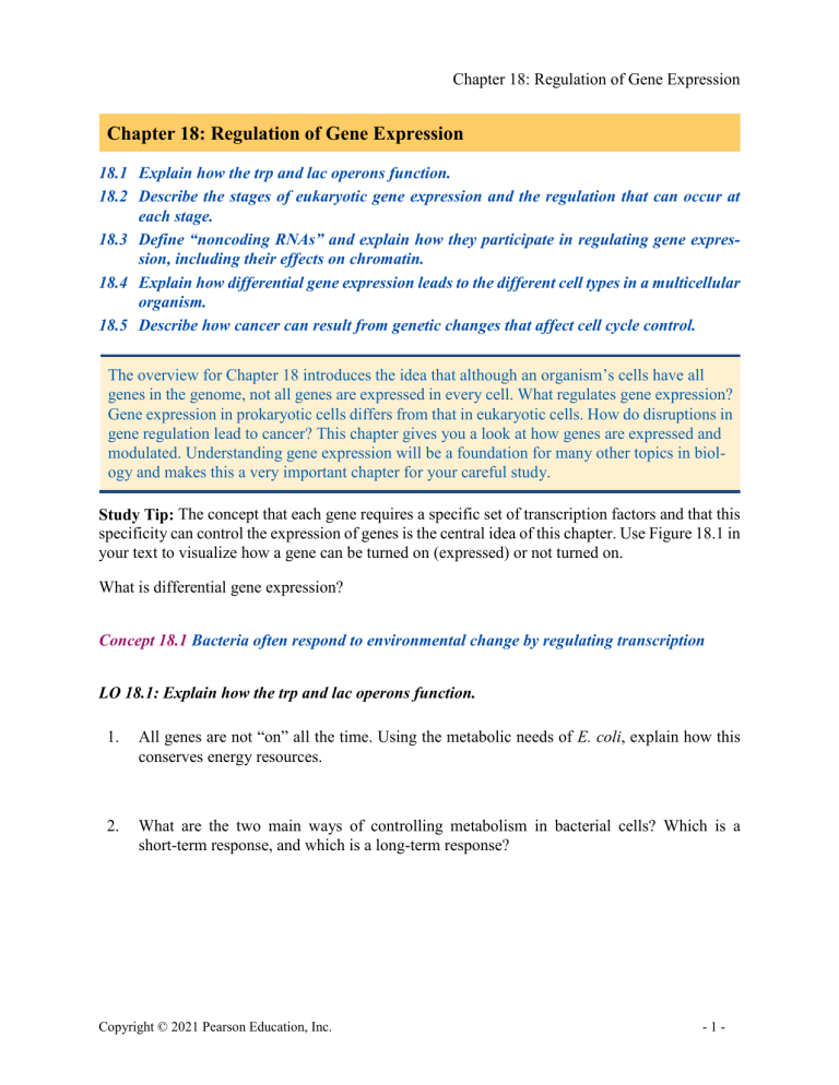 Gene Expression Regulation Study Guide