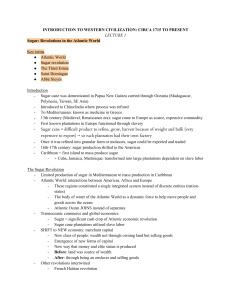 Atlantic World Sugar Revolution Lecture Notes
