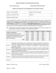 Grille d'&eacute;valuation par les pairs
