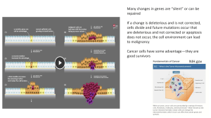 Cell Biology of Cancer & Blood Cancers