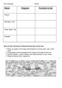 Year 8 Biology Worksheet: Blood Components & Functions