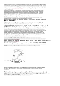 Przeobrażenie owad&oacute;w - karta pracy