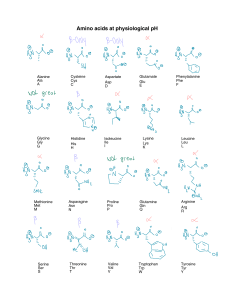 Amino Acids at Physiological pH
