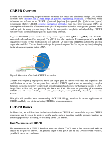 CRISPR Guide: Genome Engineering Basics