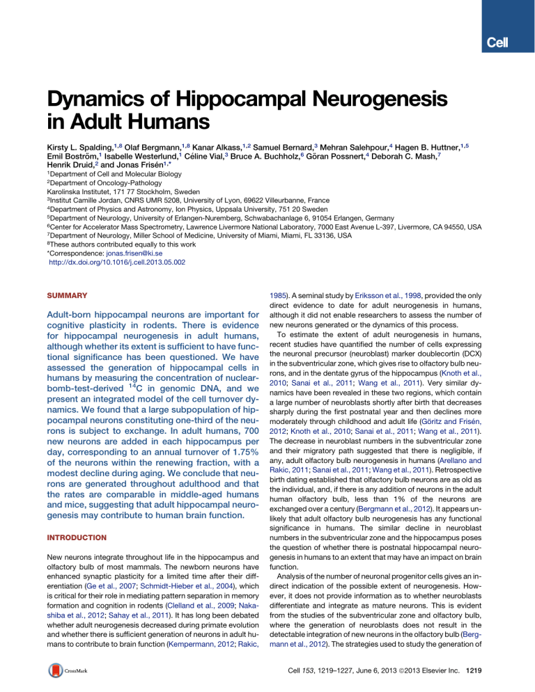 Adult Hippocampal Neurogenesis in Humans