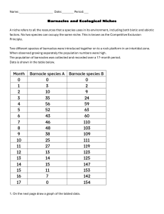 Barnacles Niches Worksheet