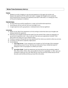Work Term Experience Article Assignment