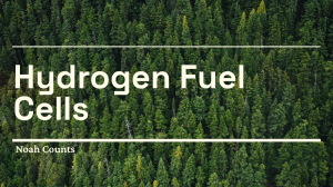 Hydrogen Fuel Cells: How They Work & Pros/Cons