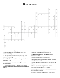 Neuroscience Crossword Worksheet