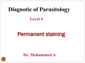 Parasitology: Permanent Staining Diagnostics