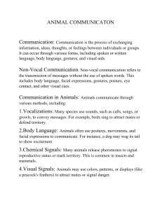 Animal Communication and Semiotics Guide