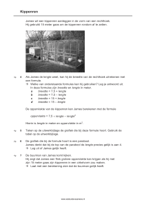 Wiskunde Examen: Oppervlakte & Parabool