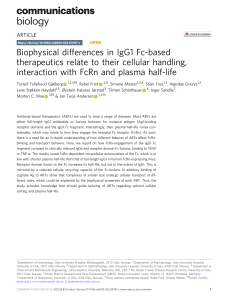 Biophysical Differences in IgG1 Fc Therapeutics and Half-Life