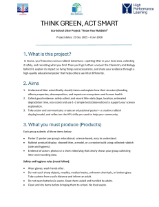 Eco-School Litter Project Guide