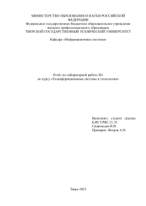 Отчёт по ГИС Аксиома: Руководство и анализ
