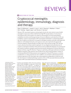 Cryptococcal Meningitis: Diagnosis and Therapy Review
