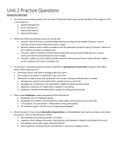 Biology Unit 2 Practice Quiz