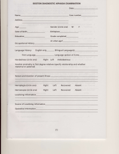 Boston Diagnostic Aphasia Examination (BDAE)
