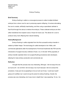Embryo Flushing in Cattle: ANSC 412 Assignment