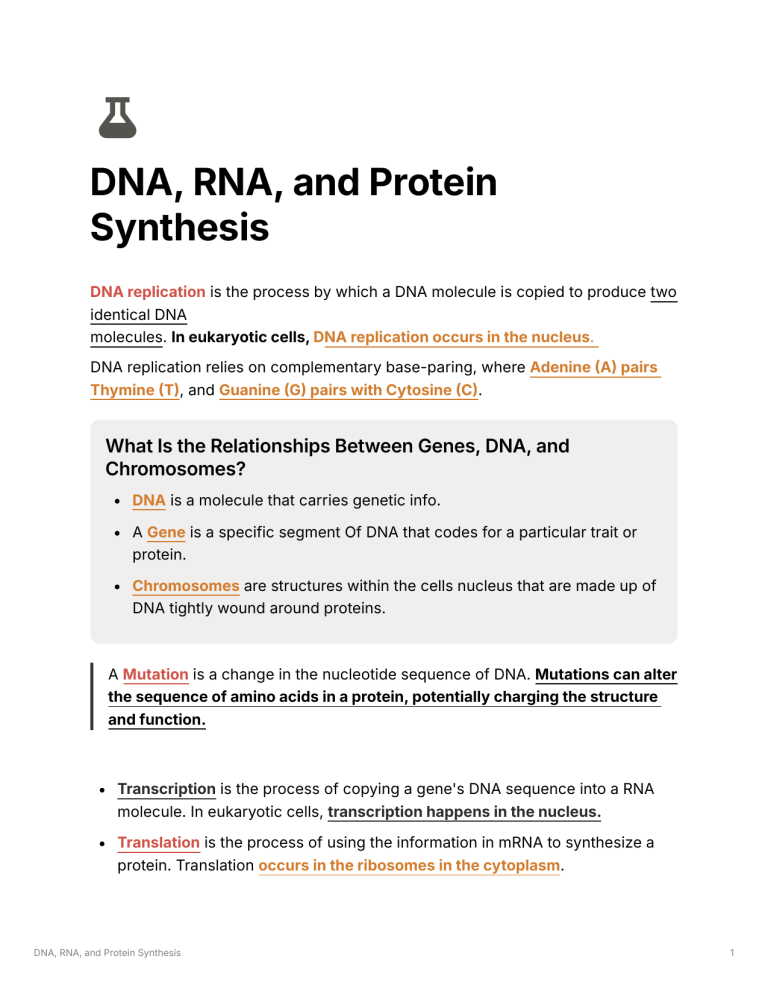 DNA, RNA, Protein Synthesis & Cell Structure Study Guide