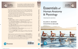 Essentials of Human Anatomy & Physiology 13th Ed.