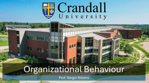 Organizational Behaviour Course Presentation