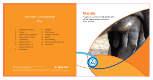 Mastitis in Dairy: Prevention and Treatment Guide