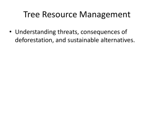 Tree Resource Management and Sustainable Forestry Practices