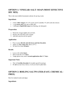 DIY Weed Killer Guide for Paving & Paths