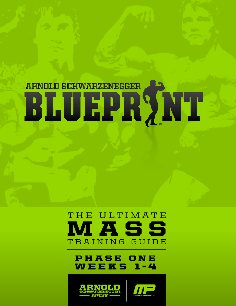 Arnold's Blueprint to Mass Training Guide